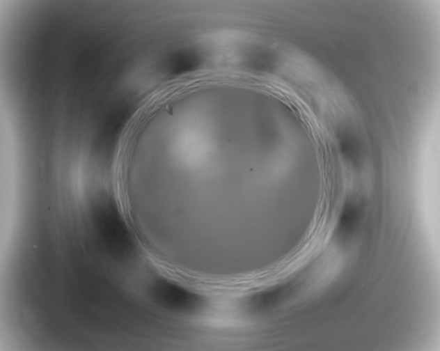 X0000087640519200705101050