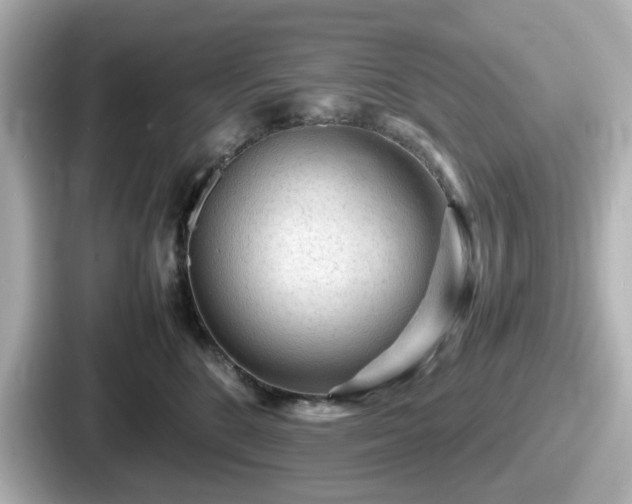 X0000087640520200705101050