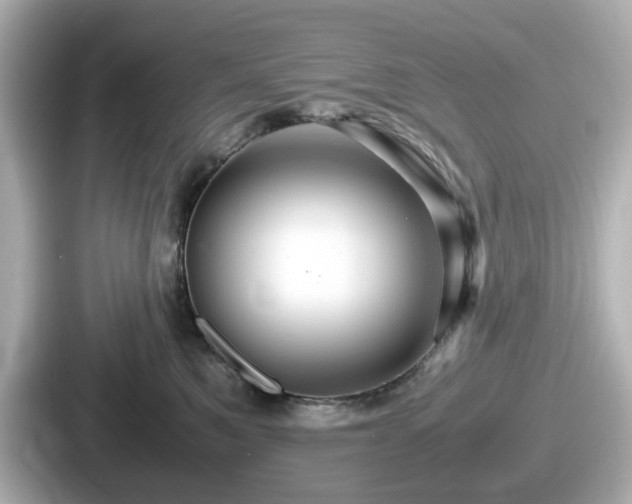 X0000087640521200705101050