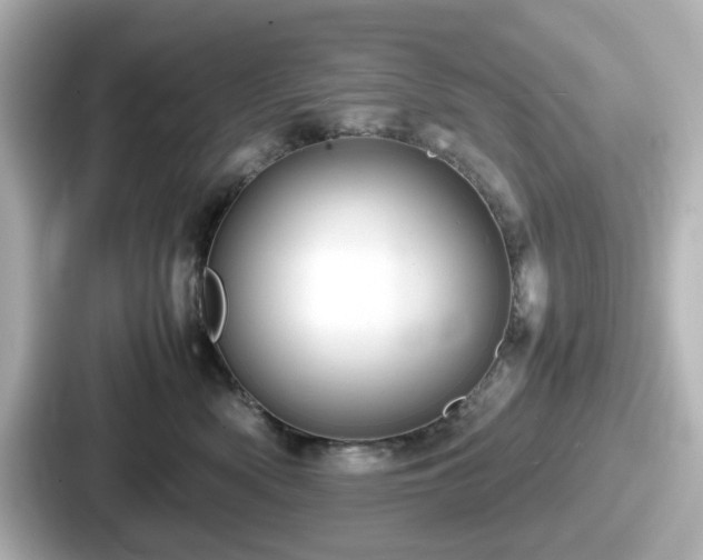 X0000087640522200705101050