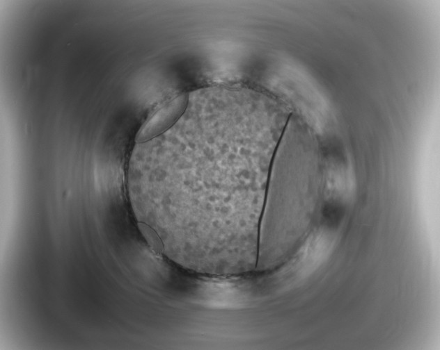 X0000087640523200705101050