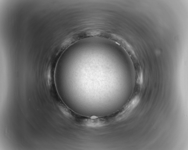 X0000087640524200705101050