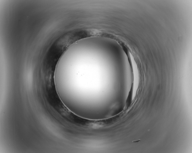 X0000087640525200705101050