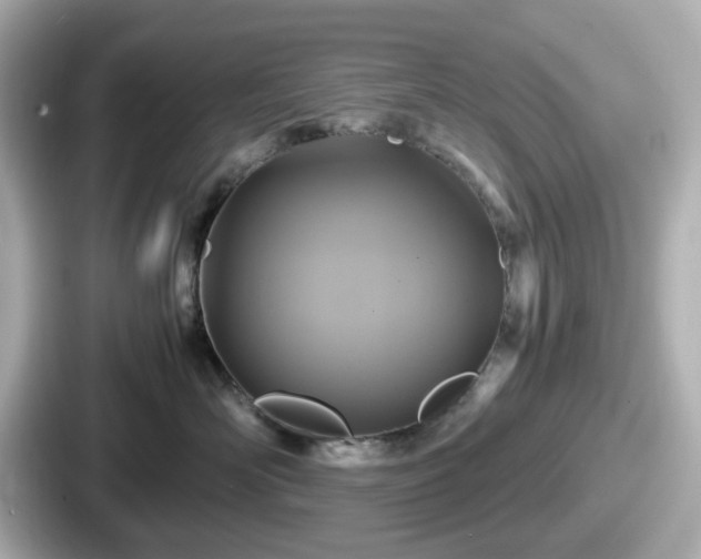 X0000087640526200705101050