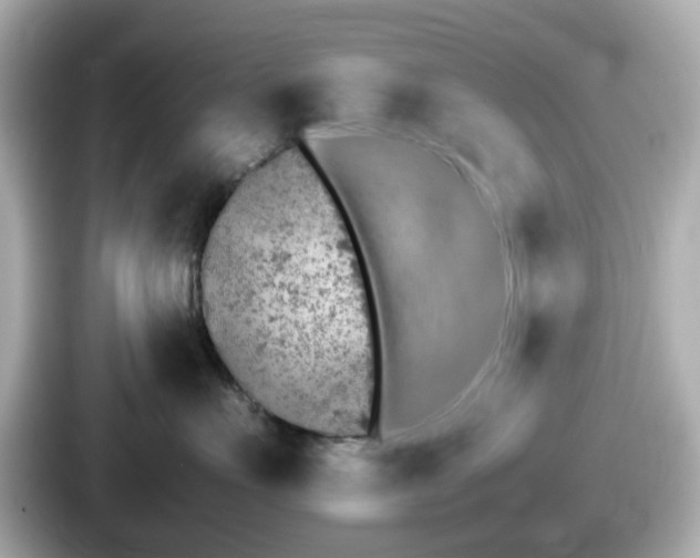 X0000087640527200705101050