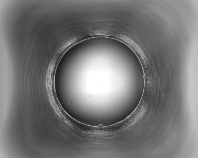 X0000087640529200705101049