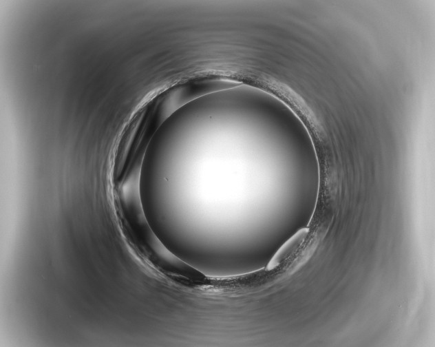 X0000087640530200705101049