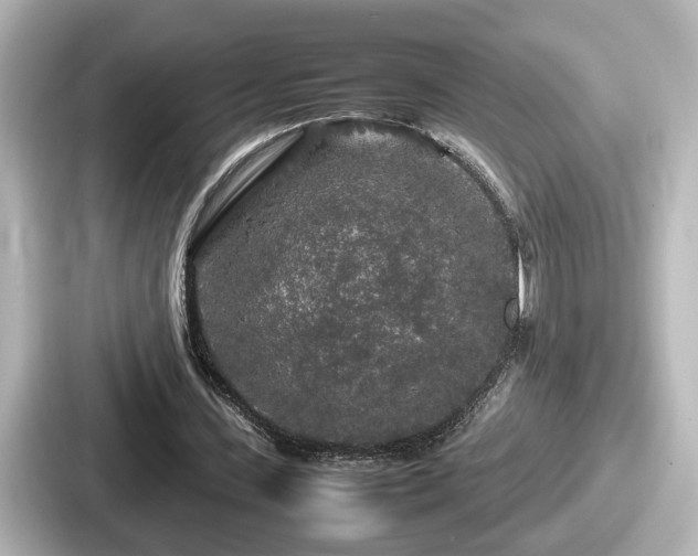 X0000087640531200705101049