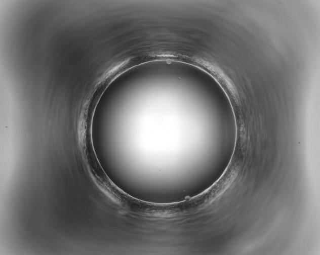 X0000087640533200705101049