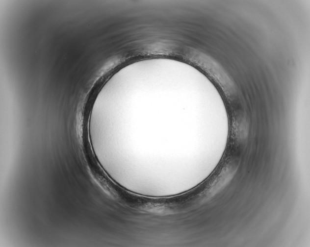 X0000087640534200705101049