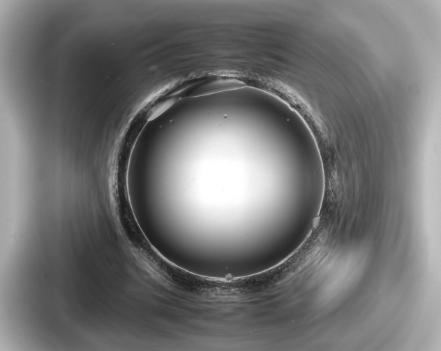 X0000087640535200705101049