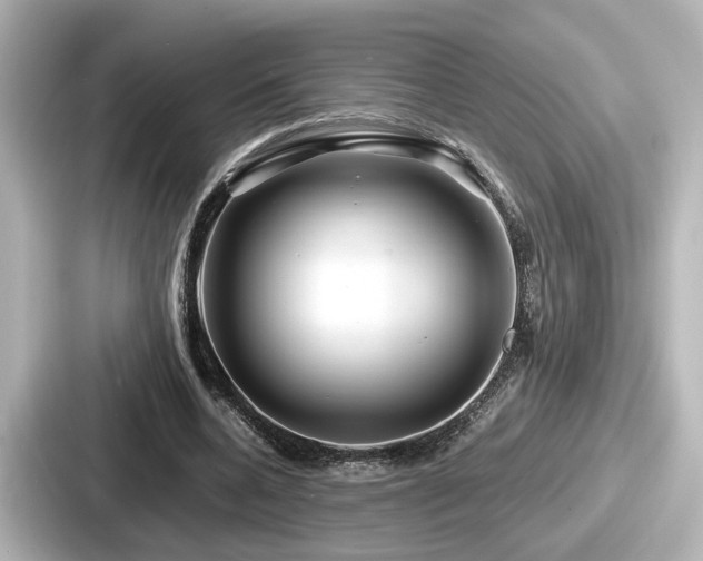 X0000087640536200705101049