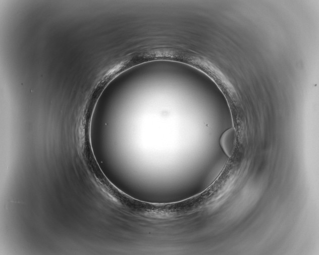 X0000087640537200705101049