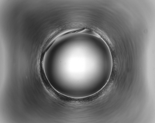 X0000087640538200705101049