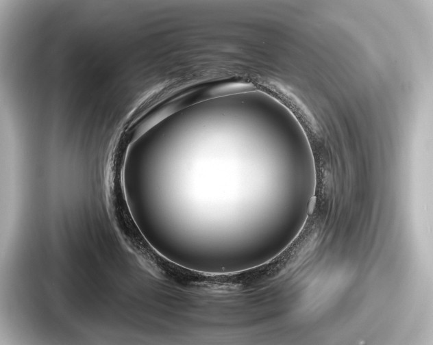 X0000087640539200705101049