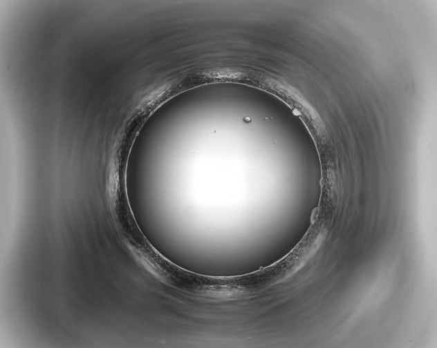 X0000087640541200705101049