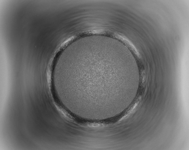 X0000087640542200705101049