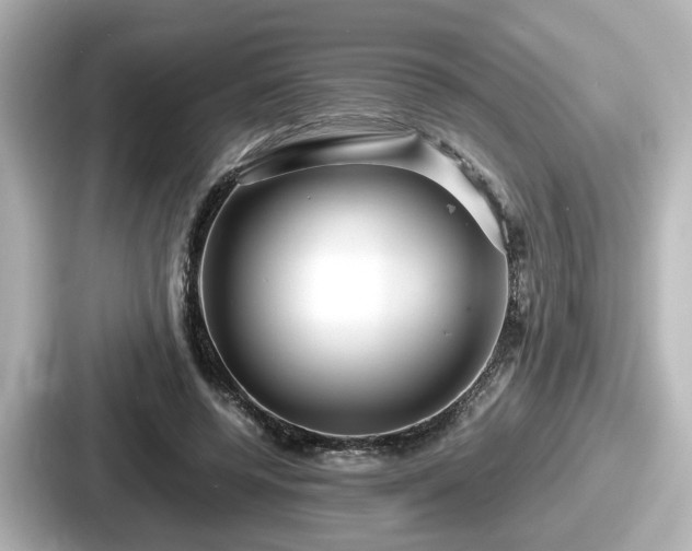 X0000087640544200705101049