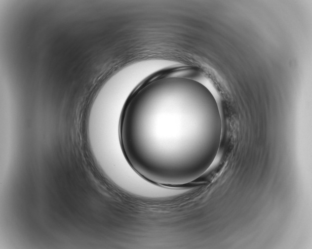 X0000087640546200705101049