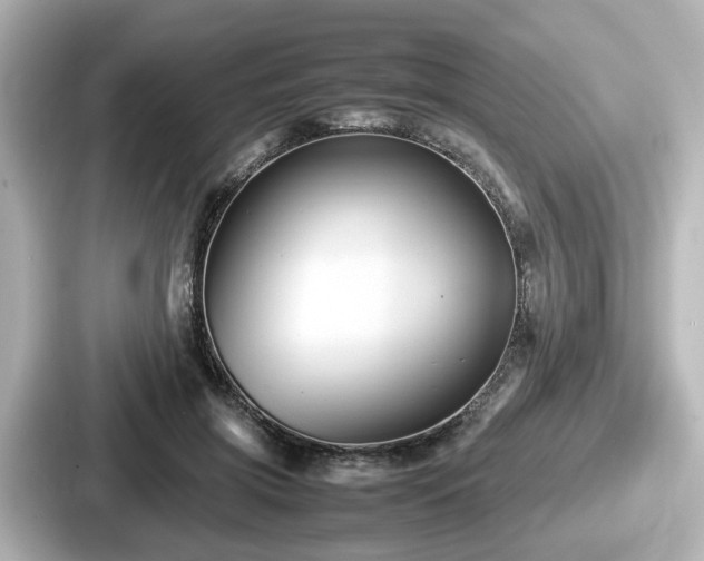 X0000087640549200705101049