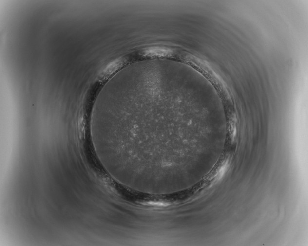 X0000087640551200705101050