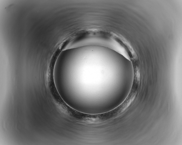 X0000087640552200705101050