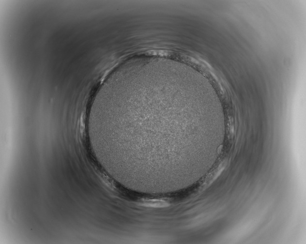 X0000087640553200705101050