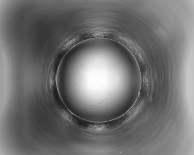 X0000087640554200705101050