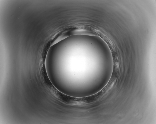 X0000087640555200705101050