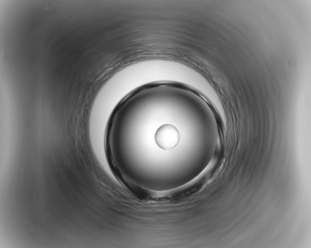 X0000087640556200705101050