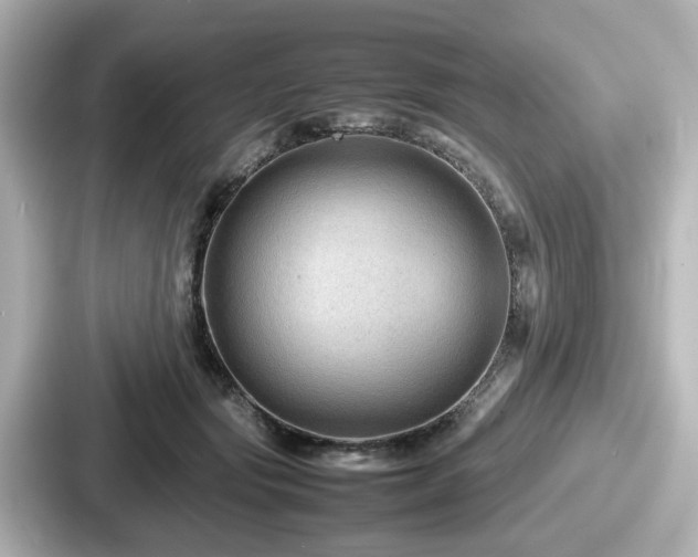 X0000087640557200705101050