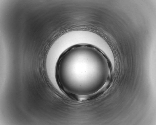 X0000087640558200705101050