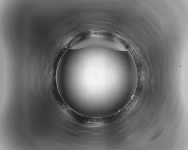 X0000087640559200705101050