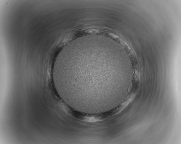 X0000087640561200705101050