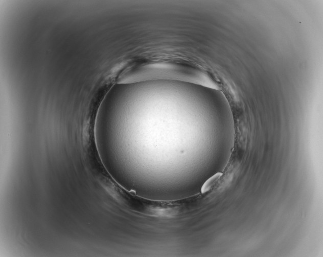 X0000087640563200705101050