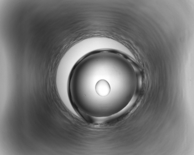 X0000087640564200705101050