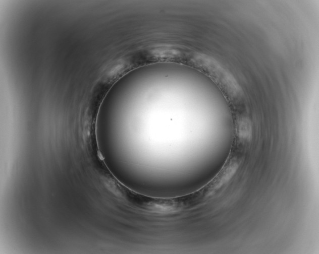 X0000087640567200705101050