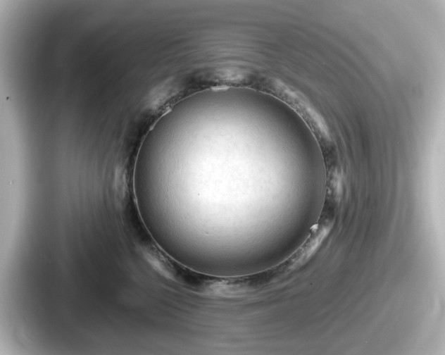 X0000087640568200705101050