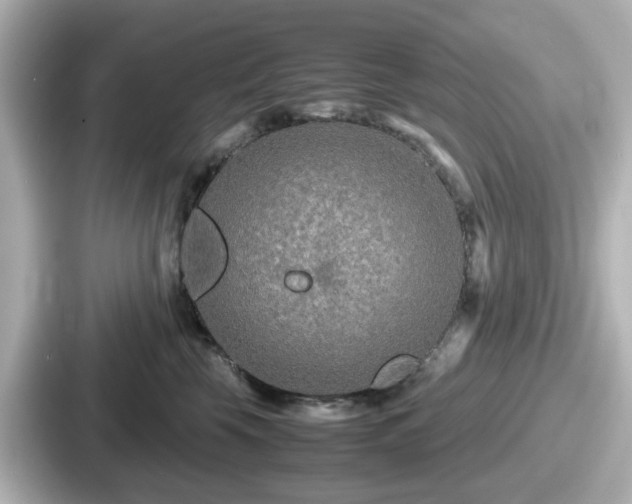 X0000087640569200705101050