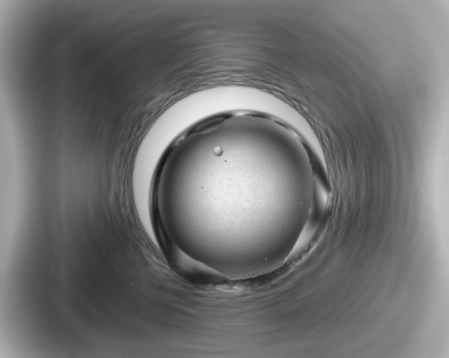 X0000087640570200705101050