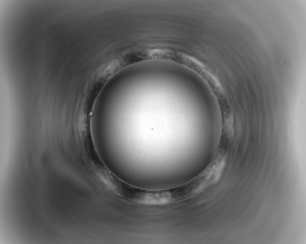 X0000087640571200705101050