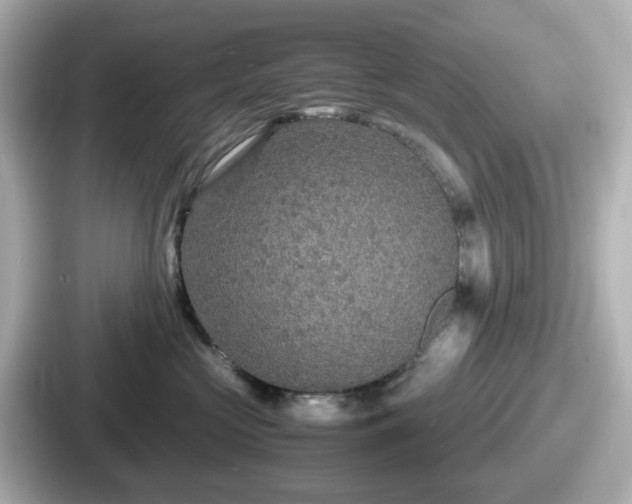 X0000087640573200705101050