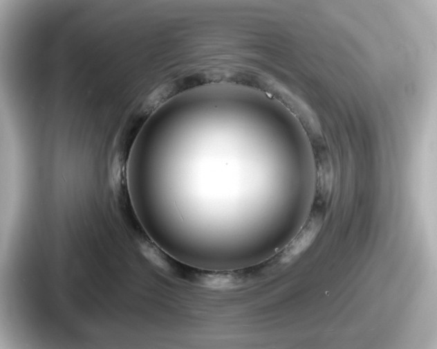 X0000087640574200705101050