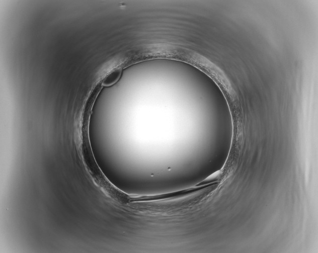 X0000087640578200705101049