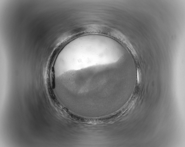 X0000087640579200705101049