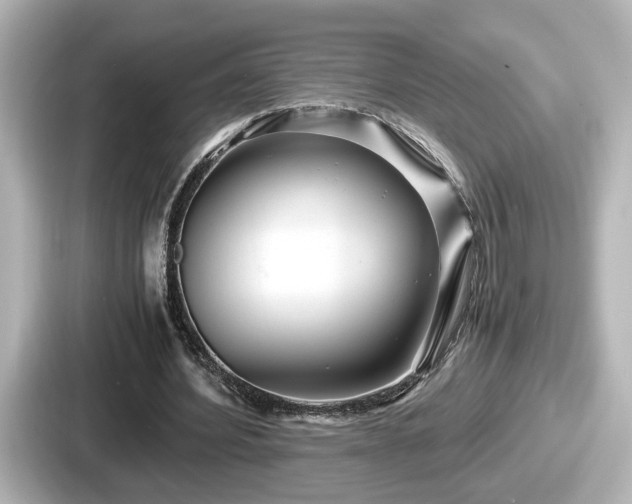 X0000087640580200705101049