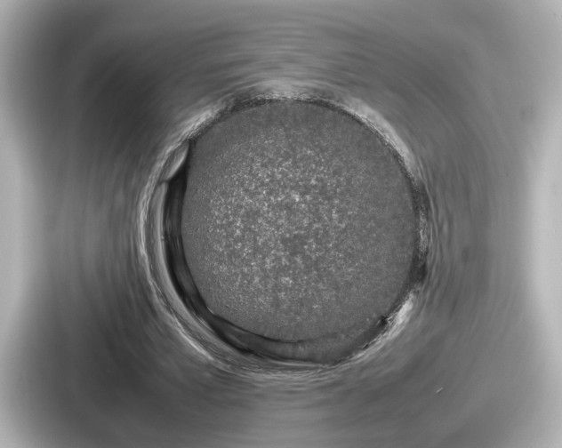 X0000087640581200705101049