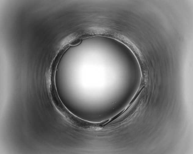 X0000087640582200705101049