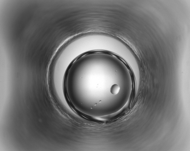 X0000087640584200705101049