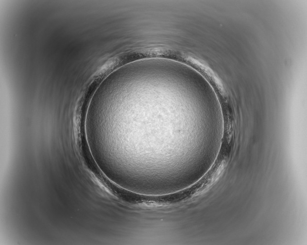 X0000087640585200705101049